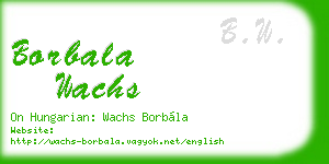 borbala wachs business card